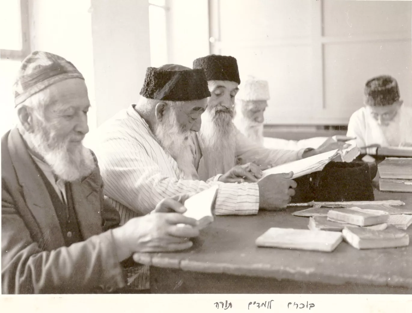 תמונה ללא תיאור