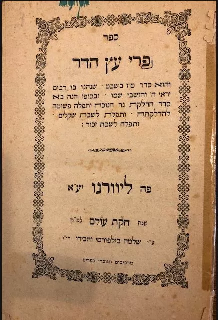 תמונה ללא תיאור