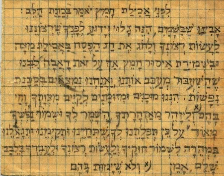 תמונה ללא תיאור