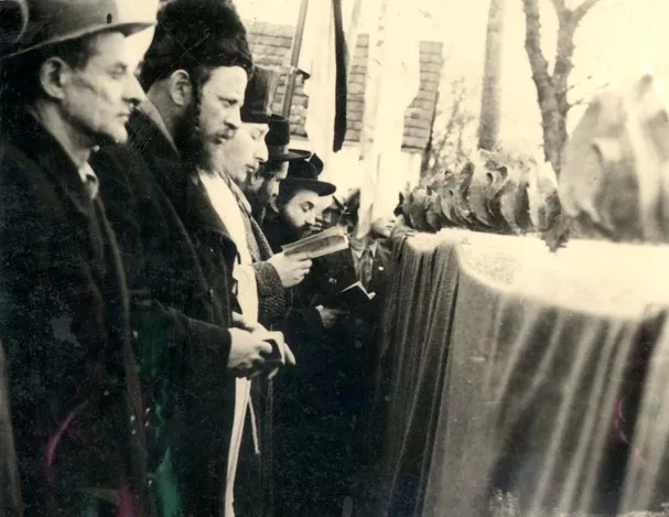 תמונה ללא תיאור