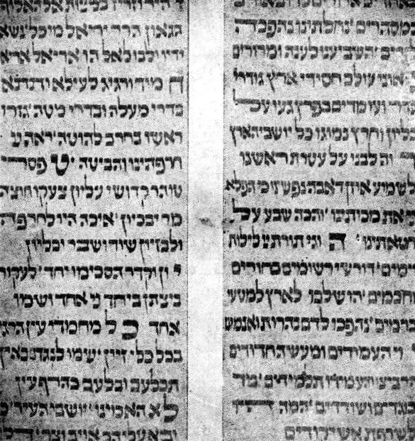 תמונה ללא תיאור