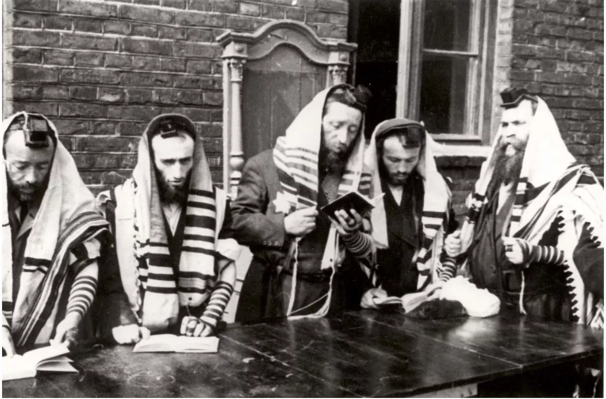 תמונה ללא תיאור