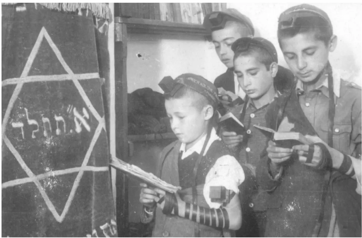תמונה ללא תיאור