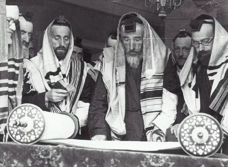 תמונה ללא תיאור