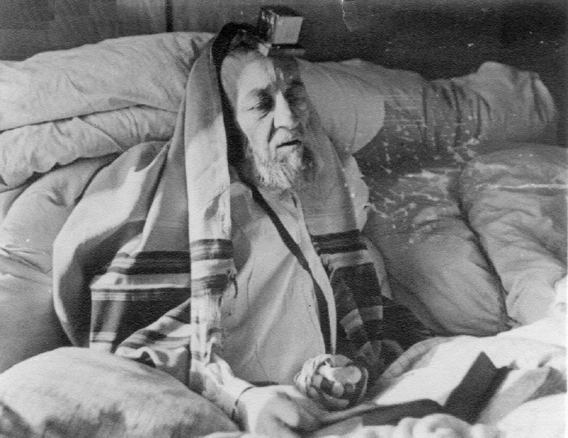 תמונה ללא תיאור