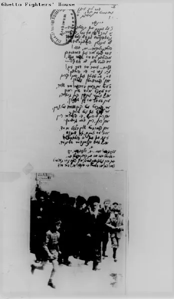 תמונה ללא תיאור