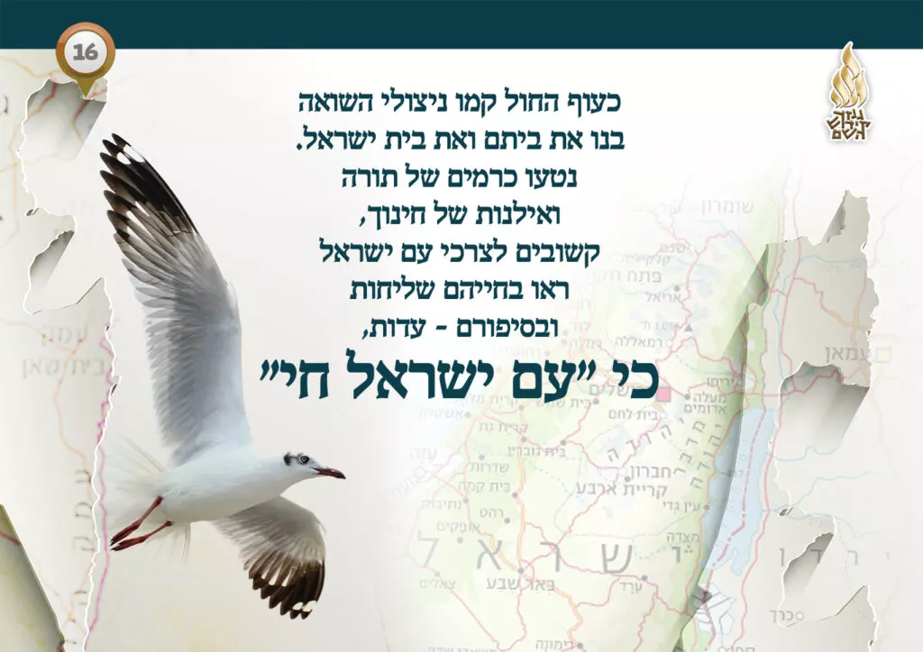 תמונה ללא תיאור