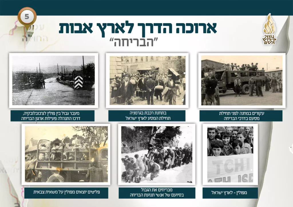 תמונה ללא תיאור