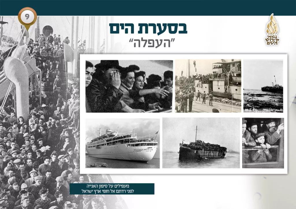 תמונה ללא תיאור