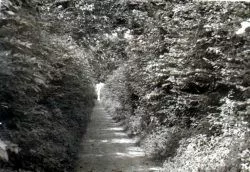 תמונה ללא תיאור