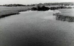 תמונה ללא תיאור