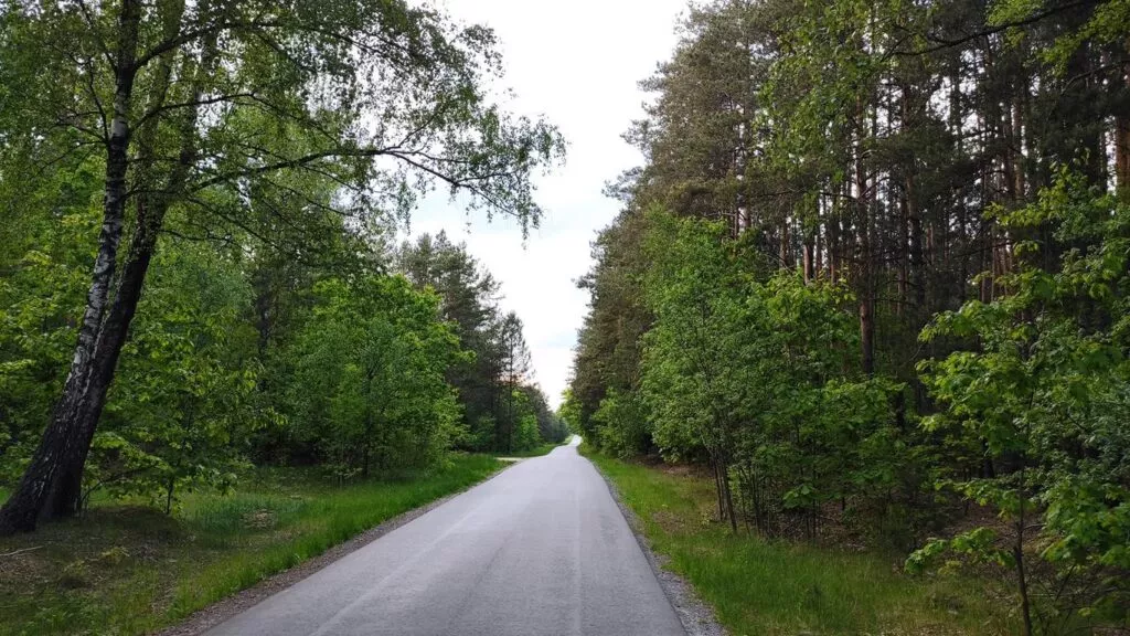 תמונה ללא תיאור