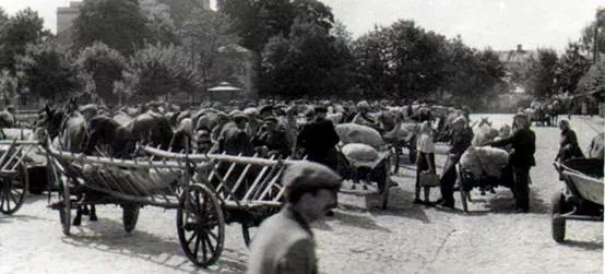 תמונה ללא תיאור