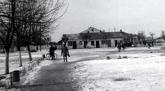 תמונה ללא תיאור