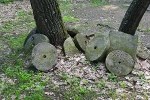 תמונה ללא תיאור