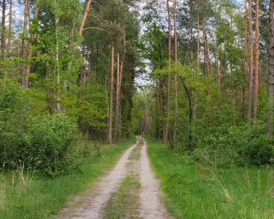 תמונה ללא תיאור